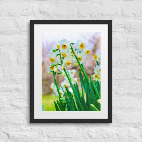 Bloom | Framed Poster