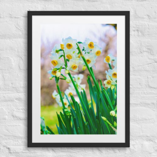 Bloom | Framed Poster